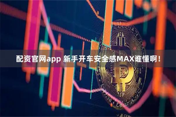 配资官网app 新手开车安全感MAX谁懂啊！