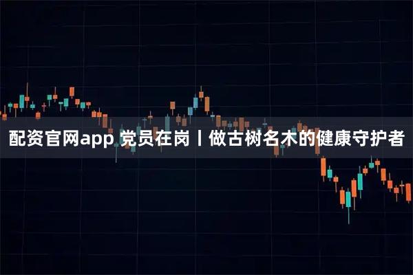 配资官网app 党员在岗丨做古树名木的健康守护者