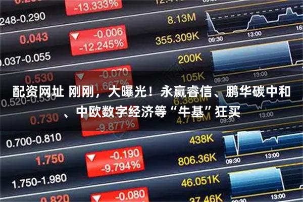 配资网址 刚刚，大曝光！永赢睿信、鹏华碳中和、中欧数字经济等“牛基”狂买