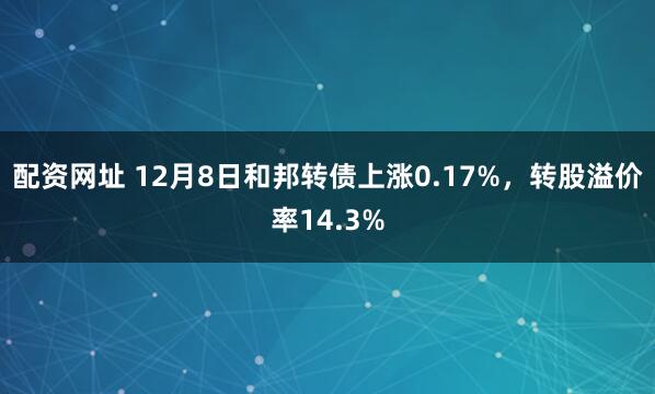 配资网址 12月8日和邦转债上涨0.17%，转股溢价率14.3%